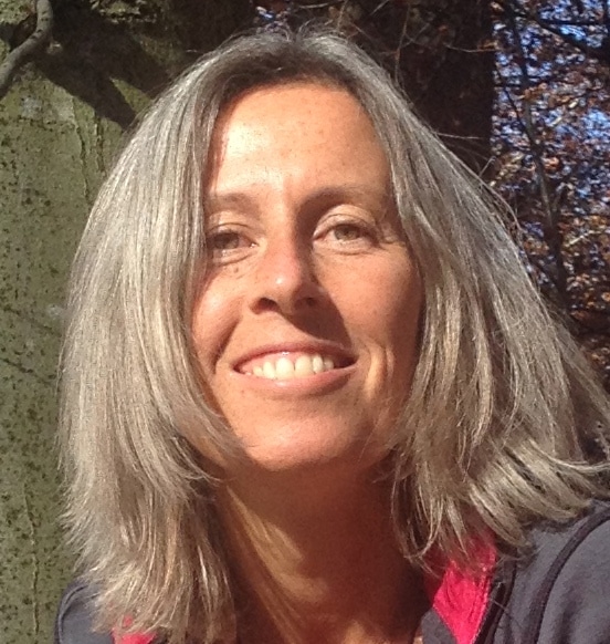 Romi Bild